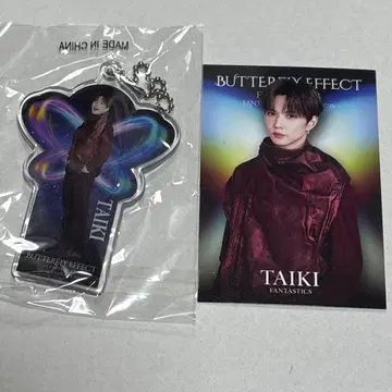 BUTTERFLYEFFECT 사토 타이키