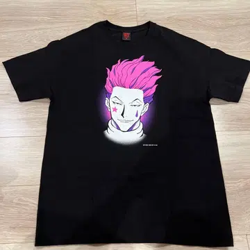 HUNTER x HUNTER x GEEKS RULE '히소카'