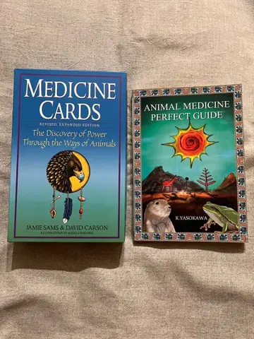 메디슨 카드 일본어판 애니멀 메디슨 퍼펙트 가이드 포함 박스 있음