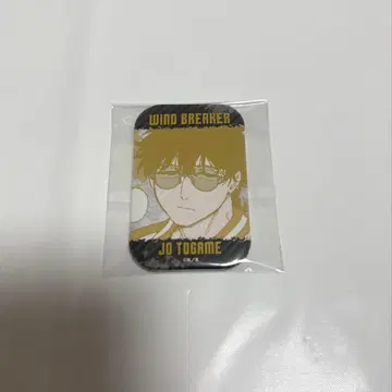 WINDBREAKER 토카게조 스퀘어 캔뱃지