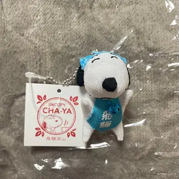 [ 새상품 미사용품 ] 스누피 브라운 사루보보 히다 타카야마 블루