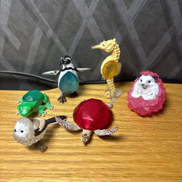 생물 x 보석 1 전종 +1종