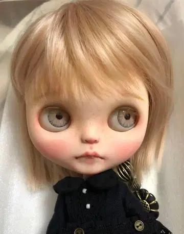 네오 브라이스 커스텀 브라이스 인기 작가 페어