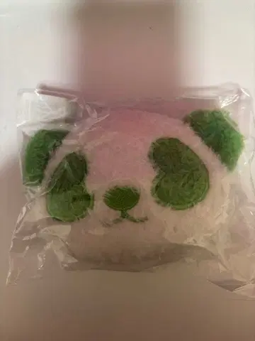 모모타 하야시마 리루판다 LILLEAGUE