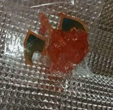 포켓몬 피규어 클리어 리자몽