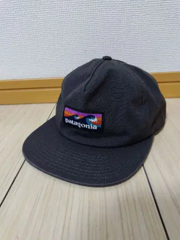 patagonia 블랙 캡 웨이브 택 파타고니아