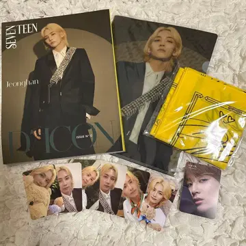 SEVENTEEN 세부치 DICON 정한 세트