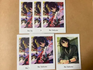 앙스타 파샤츠 사쿠마 레이