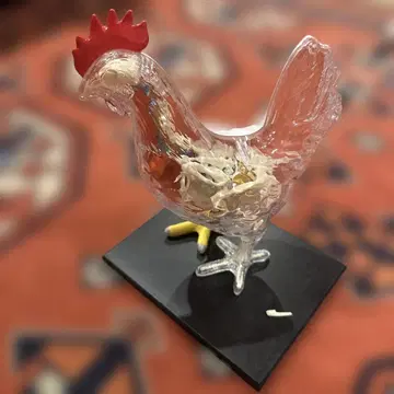 4d vision 완성품 닭 새상품급 퍼즐 해부 모형 프라모델