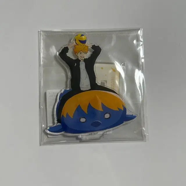 하이큐 히나타 쇼요 토호 애니메이션 아크릴스탠드