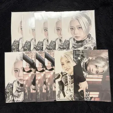 혼니시 사키호 무대폭검 신선조의검참 란브로 11장 세트