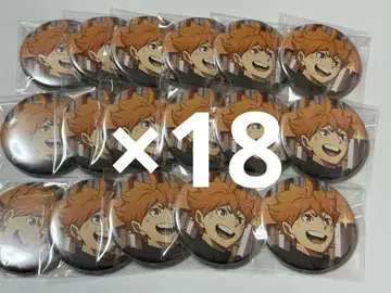 하이큐 히나타 쇼요 홀로그램 캔뱃지