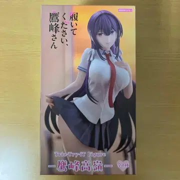 트리오 트라이 피규어 타카호 씨, 신어주세요