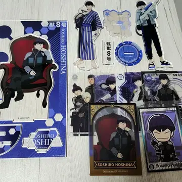 호시나 소우시로 묶음 판매