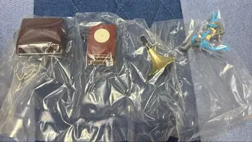 포켓몬 Vintage collection 리멘트 루카리오