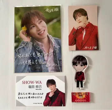 SHOW-WA 시오타 마사키 묶음 판매