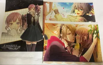 암네시아 스치코레 세트