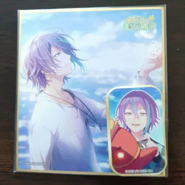 최저가 원더쇼 묶음 판매