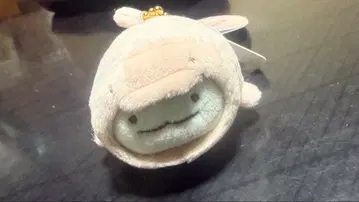 스미코구라시 토카게 돌고래 수족관 한정판 걸이형 봉제 인형