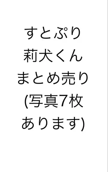 스토푸리 리이누군 묶음 판매