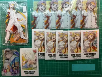 윈드브레이커 윈브레 토끼 귀 산초 묶음 판매