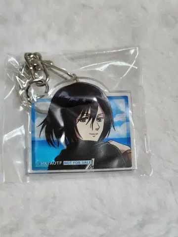 진격의 거인 가라오케의 철인 미카사