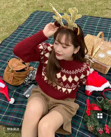 [ 인기 상품 ] nugu 노르딕 무늬 라운드넥 자카드 니트 레드