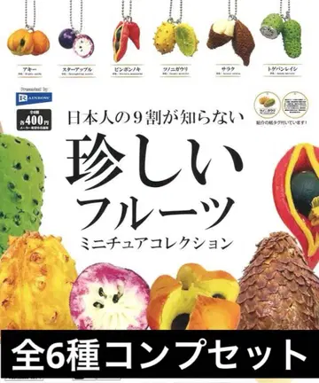일본인의 9할이 모르는 희귀 과일 미니어처 컬렉션 전 6종 가챠