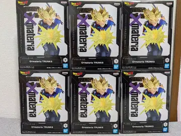 G x materia 트렁크스 6체