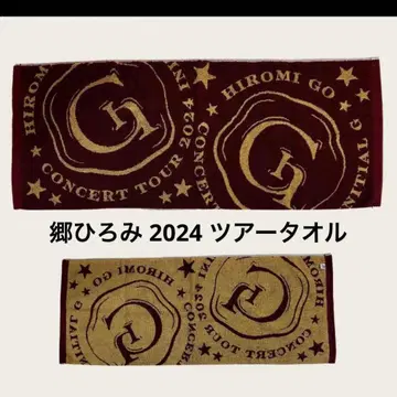 고 히로미 2024 타월 투어