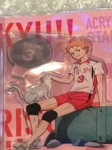 하이큐!!전 쓰레기장의 결전 아크릴 스탠드 야쿠 모리스케 정품 1점만