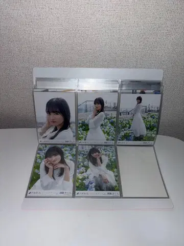 노기자카 엔도 사쿠라 브로마이드 이곳에는 없는 것