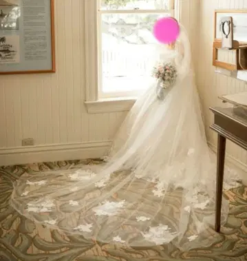 ARLUIS DRESS 멜로우 자수 롱 베일