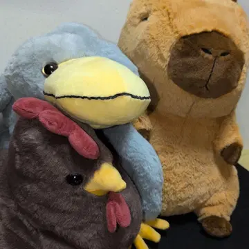 [ 미사용 ] 봉제 인형 BIG 사이즈 카피바라 씨 코케콧코 하시비로코우