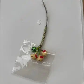 지역 한정 키티 아오모리 마늘