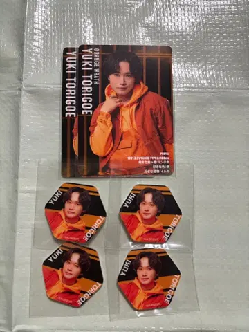 토리코시 유키 랜덤 아크릴 스티커 랜덤 틀린 그림 찾기 카드