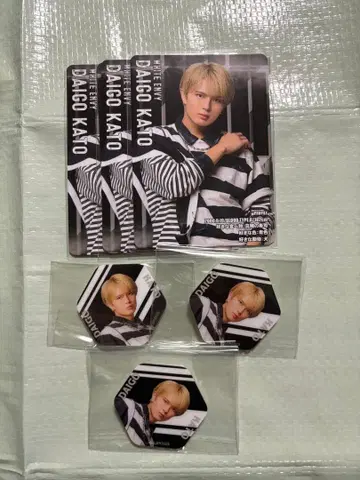 카토 다이고 랜덤 틀린 그림 찾기 카드 랜덤 아크릴 스티커