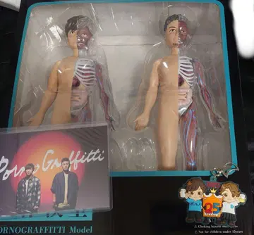 포르노그라피티 인체 모형