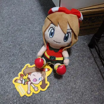 포켓몬 센터 하루카 봉제 인형 트레이너 택 포함