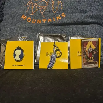 미세스 바벨탑 랜덤 가챠 카메오 핀즈 C 키링 D 와카이 히로토