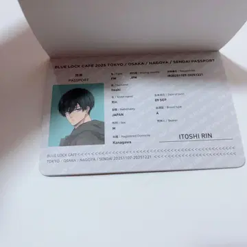 블루 록 여권 이토시 린