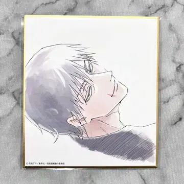 주술회전 전시회 회옥 옥절 미니 색지 젠인 토우지