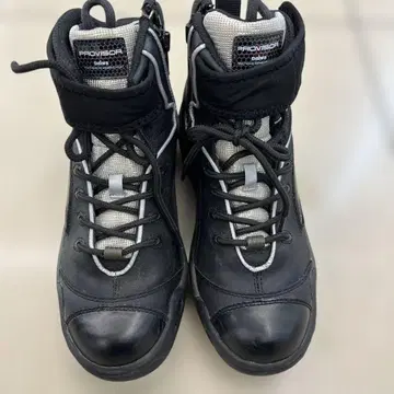 다이와 프로 바이저 스파이크