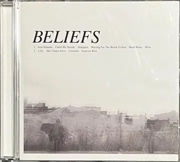 Beliefs No Pain In Pop Shoegazer 슈게이저