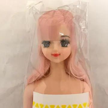 즐거운 인형 아야노 제니 프렌드