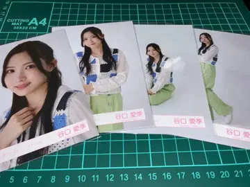 사쿠라자카46 타니구치 아이리 브로마이드 컴프 컬러 데님