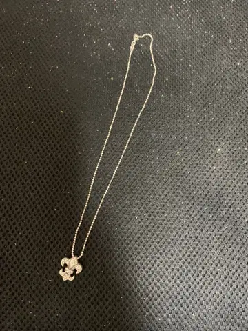 플뢰르 드 리스 모티브 목걸이