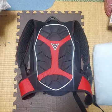 다이네즈 DAINESE D-EXCHANGE 백팩 S