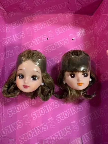 새상품 리카짱 포토제닉 리카짱 디지이 카틀레아