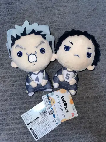 하이큐!! 모찌피코 봉제 인형 보쿠토 코타로, 아카아시 케이지 2종 세트